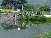 P4200036.JPG (290898 bytes)