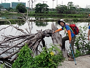 P4200038.JPG (307377 bytes)