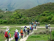 P4200052.JPG (285810 bytes)