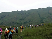 P4200053.JPG (155520 bytes)