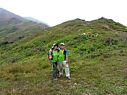 P4200060.JPG (273788 bytes)