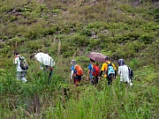 P4200062.JPG (313806 bytes)