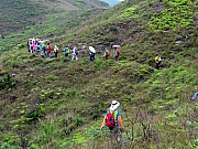 P4200063.JPG (379827 bytes)