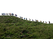 P4200064.JPG (183849 bytes)