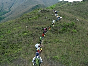 P4200067.JPG (259518 bytes)