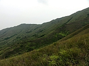 P4200071.JPG (182757 bytes)