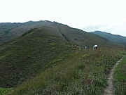 P4200073.JPG (170413 bytes)