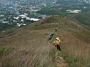 P4200076.JPG (238787 bytes)