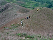 P4200082.JPG (239465 bytes)