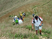 P4200085.JPG (295944 bytes)