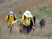 P4200090.JPG (225059 bytes)