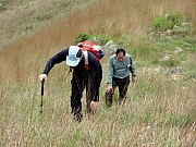 P4200092.JPG (254888 bytes)