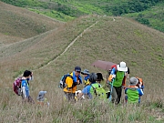 P4200097.JPG (237286 bytes)