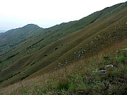 P4200100.JPG (201129 bytes)