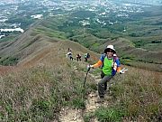 P4200101.JPG (317857 bytes)