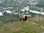 P4200109.JPG (281343 bytes)