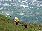 P4200130.JPG (250993 bytes)