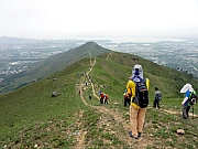 P4200156.JPG (214025 bytes)