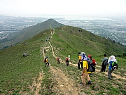 P4200157.JPG (239116 bytes)