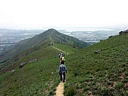 P4200158.JPG (203968 bytes)