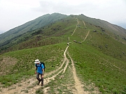 P4200159.JPG (213474 bytes)