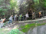 P4270003.JPG (400586 bytes)