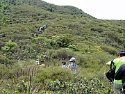 P4270031.JPG (336148 bytes)