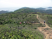 P4270075.JPG (313057 bytes)