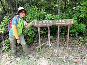P4270081.JPG (393722 bytes)