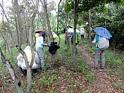 P5040008.JPG (378677 bytes)