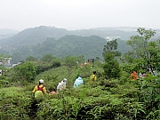 P5040036.JPG (235960 bytes)