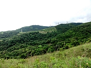 P5180008.JPG (232546 bytes)