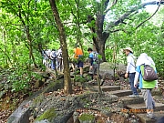 pic_Wai_022.JPG (340098 bytes)