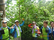 pic_Wai_026.JPG (314896 bytes)