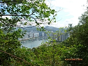 pic_Wai_030.JPG (319631 bytes)