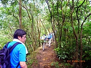 pic_Wai_031.JPG (336371 bytes)