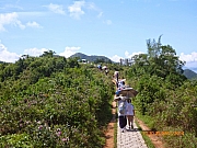 pic_Wai_037.JPG (274766 bytes)