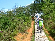 pic_Wai_038.JPG (339748 bytes)
