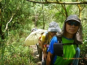pic_Wai_060.JPG (287022 bytes)