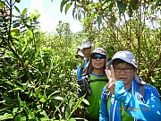 pic_Wai_066.JPG (321416 bytes)