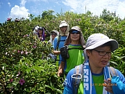 pic_Wai_069.JPG (287059 bytes)