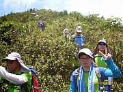 pic_Wai_071.JPG (299046 bytes)