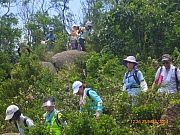 pic_Wai_090.JPG (284322 bytes)