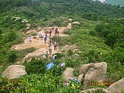 pic_Wai_093.JPG (268254 bytes)
