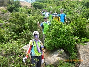 pic_Wai_100.JPG (357942 bytes)