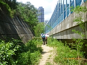 pic_Wai_115.JPG (263415 bytes)