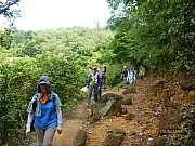 pic_Wai_009.JPG (297805 bytes)