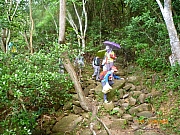 pic_Wai_011.JPG (329930 bytes)