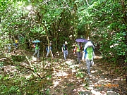 pic_Wai_017.JPG (332321 bytes)