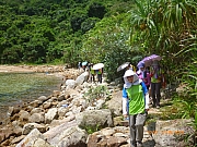 pic_Wai_034.JPG (327740 bytes)